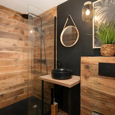 Jacuzzi Et Coin Massage Appartement Nancy