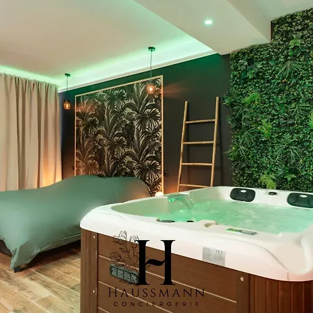 아파트 Jacuzzi Et Coin Massage 낭시