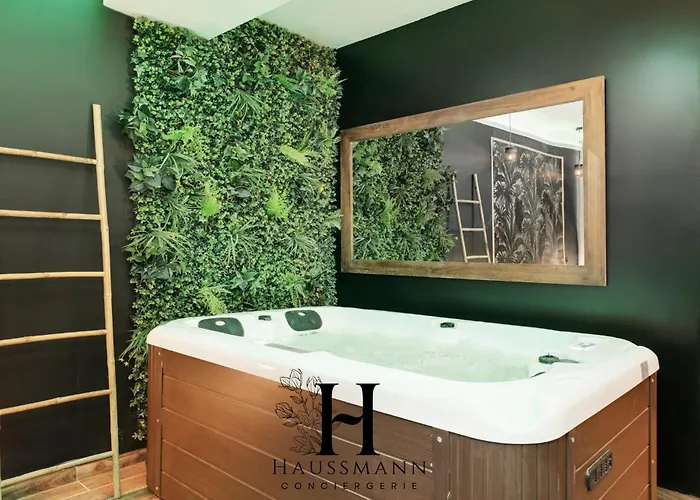 Jacuzzi Et Coin Massage Apartment Nancy