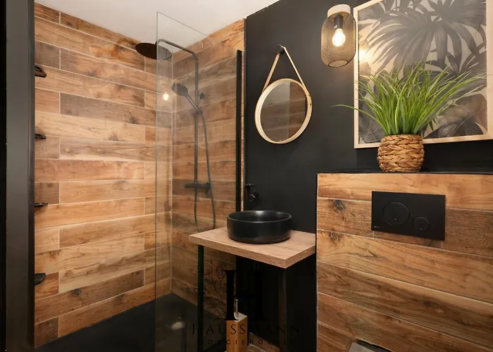 Jacuzzi Et Coin Massage Apartment Nancy